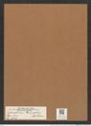 Triceratium grundleri A. Schm. (de-Toni-Nr.: Genus 140, Species 3727) Zeichnungen Sammlung Grunow Mappe 03833 (Herbarium_W_Grunow_drawings_Folder_03833)